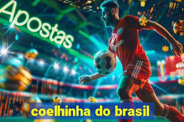 coelhinha do brasil